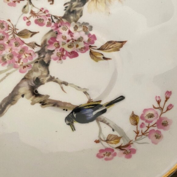 Vintage Queen Anne Bird in Cherry Blossom Tree Fine Bone China Cup Saucer Set - Picture 7 of 15